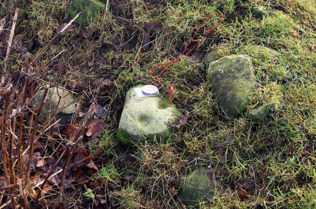 betty-watsons-cup marked stone