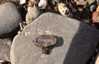 Cowies