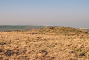 Newton Moor longbarrow
