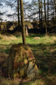 Swarth Howe stone & trig point