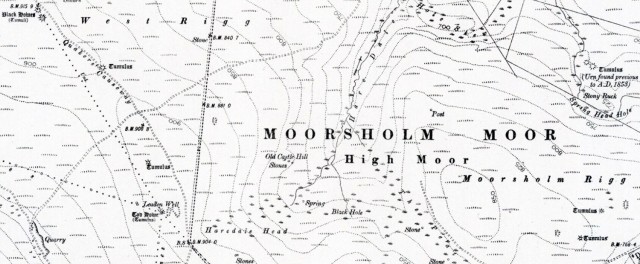 Moorsholm moor